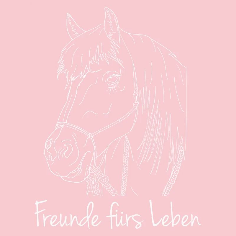 Freunde fürs Leben Haflinger Pferd