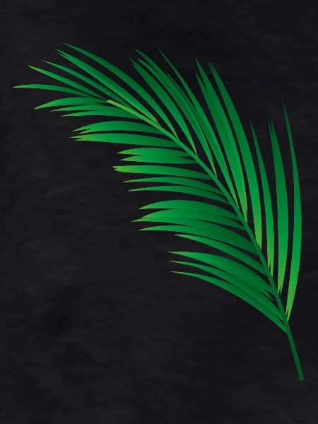 single green palm leaf