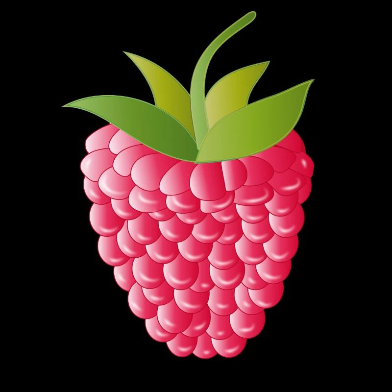 pink red ripe raspberry