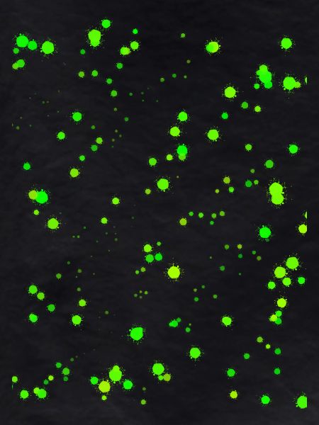 Neon green paint splashes