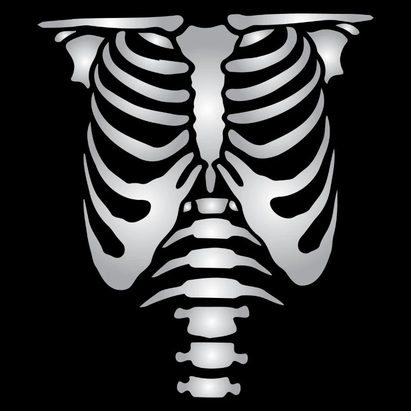 Human skeleton bones torso