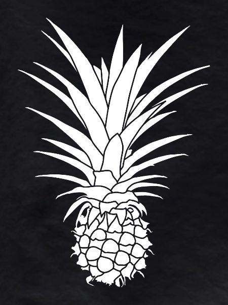 Pineapple Graphic Gift