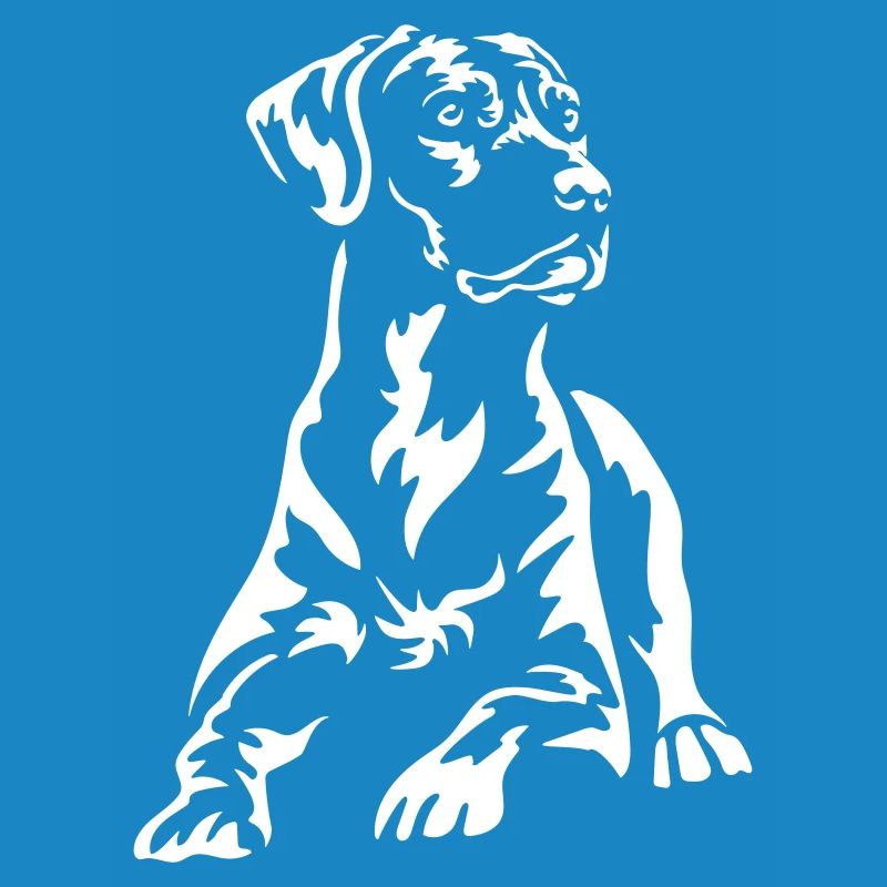 Rhodesian Ridgeback « Black Edition »