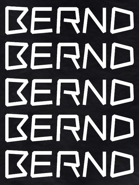 Bachelor Bernd