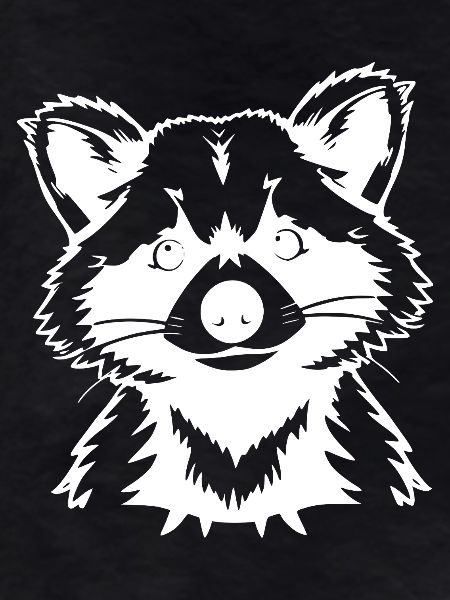 Waschbär