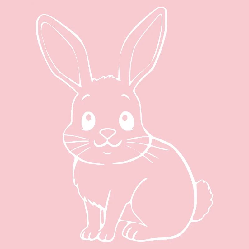 Rabbit Bunny Bunny Dwarf Rabbit Gift