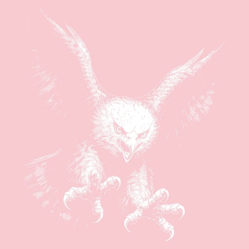 Pygargue à queue blanche