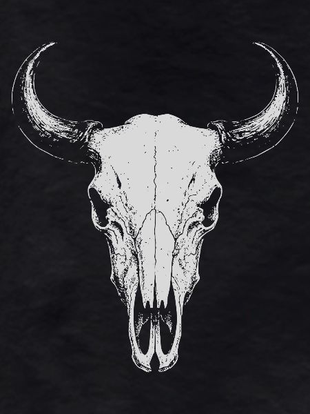 Bull Skull Horns