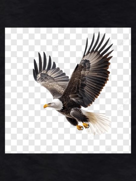 Flying Eagle Majestic Flight