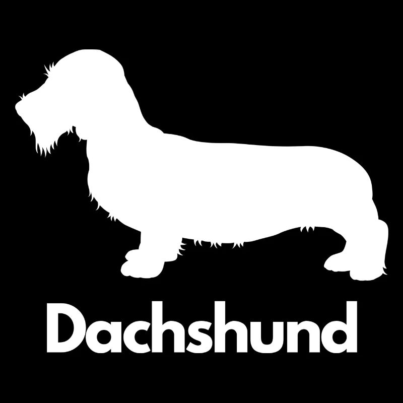 Dachshund, Dackel, Teckel, Rauhaardackel