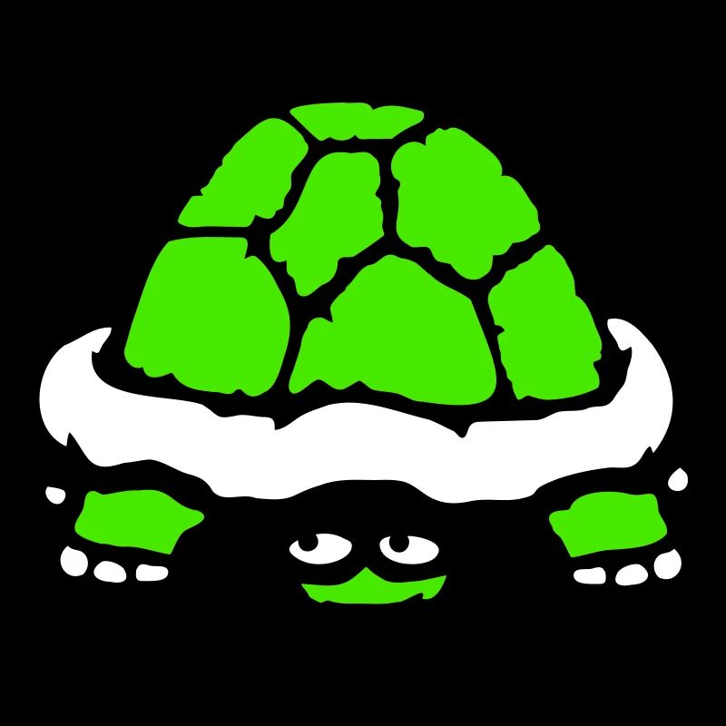 tortue cachée timide sourire drôle