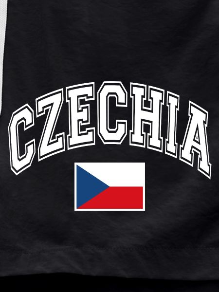 Czech Republic Flag
