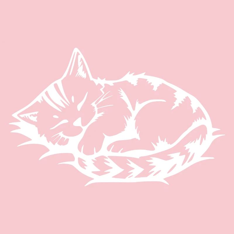 Chat Blanc Endormi
