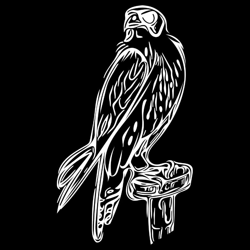 Faucon élégant avec des ailes et des griffes