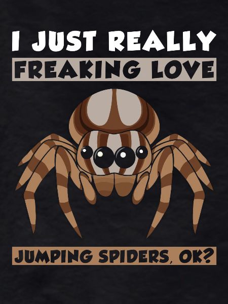 Jumping spider
