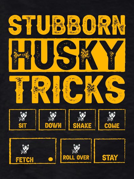 Stubborn Husky Tricks