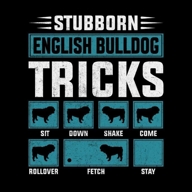 Astuces de bouledogue anglais têtus