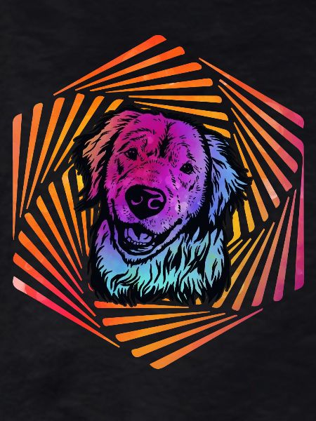 Labrador Retro