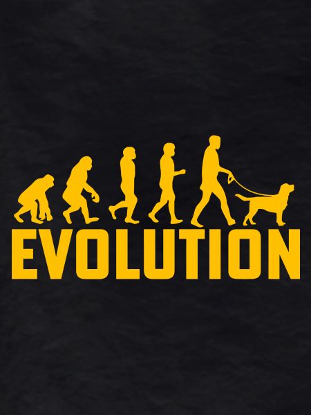 Labrador Evolution