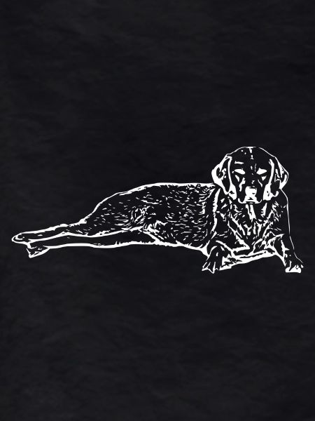 Dog white