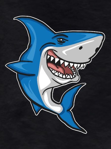 Shark - Fish