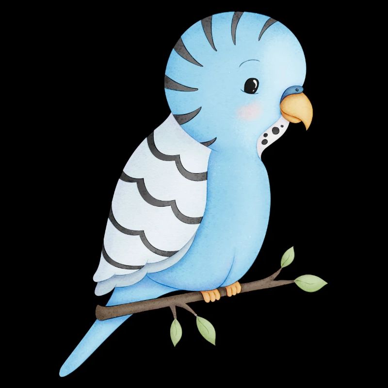 cute budgie bird