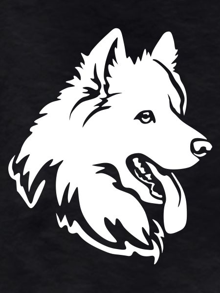 Samoyed Head "Black Edition"