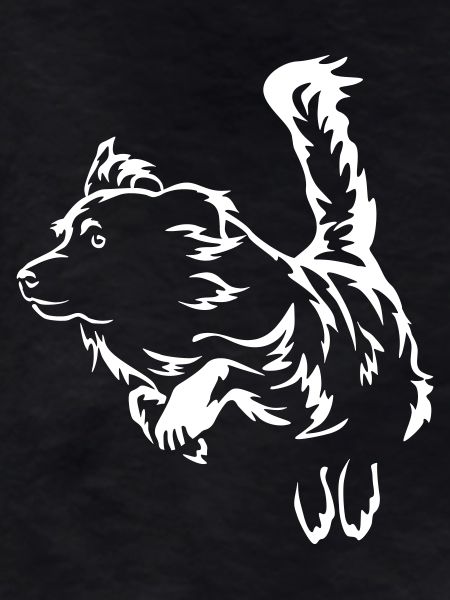 Australian Shepherd "Black Edition"