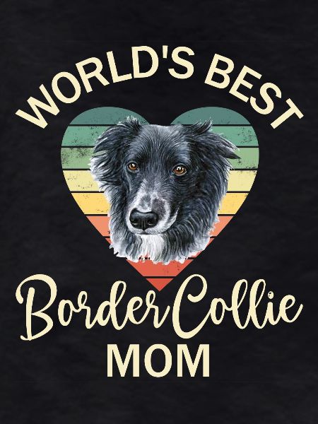 Hund Border Collie