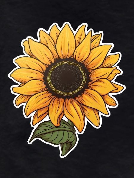 Sonnenblume