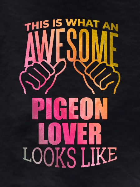 Pigeon Pigeon Pigeon