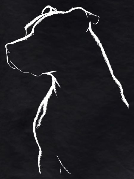 Pitbull Silhouett
