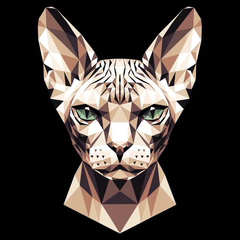 Sphynx Cat Sphynx Cat Canadian Cat Cute Sphinx