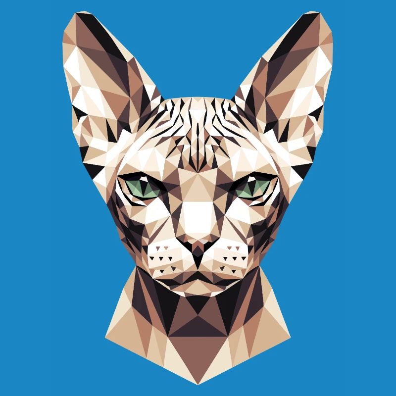 Sphynx Chat Sphynx Chat Chat Canadien Sphinx mignon