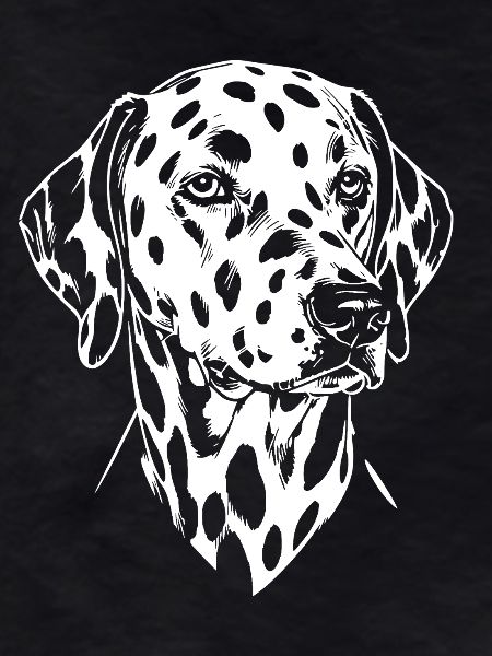 Dalmatian Head