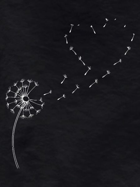 Löwenzahn Pusteblume