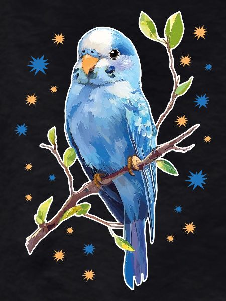 Budgie Stars