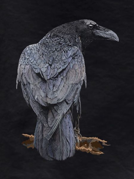 Crow