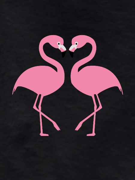 Flamingos