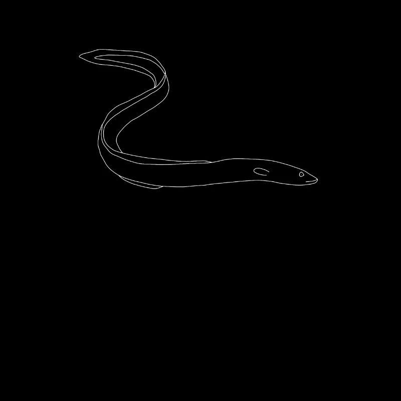 eel