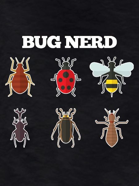 Bug Nerd