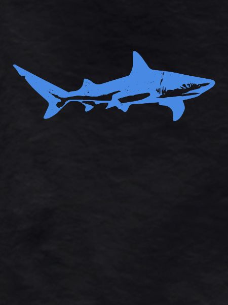 Requin bleu