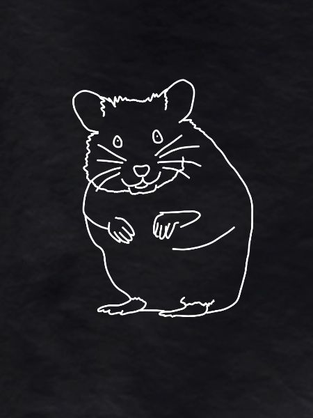 hamster