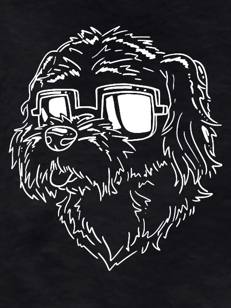 Havanese