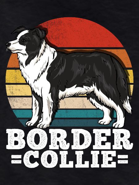 Border Collie Retro