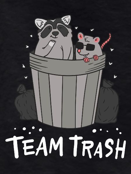 Raccoon and rat