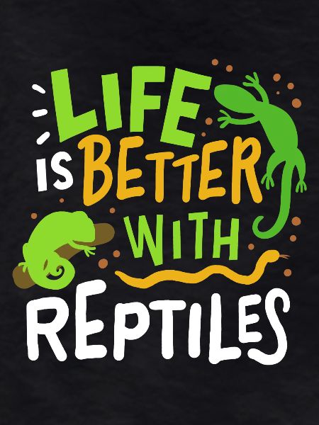 Reptile lizard