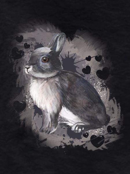 Lapin lapin