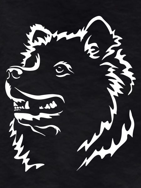 Samoyed Head "Black Edition"