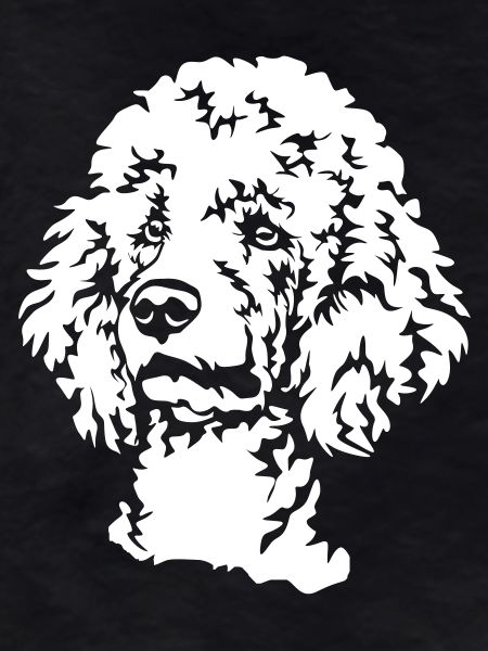 Poodle Head "Black Edition"